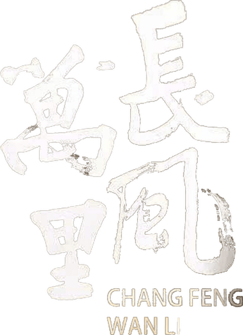Ambassador from Han Empire