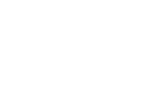 Reasonable Doubt