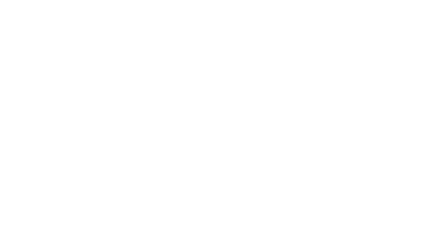 Die Ehrlich Brothers Magic School