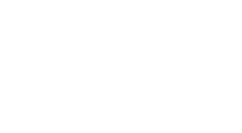 Altered Carbon