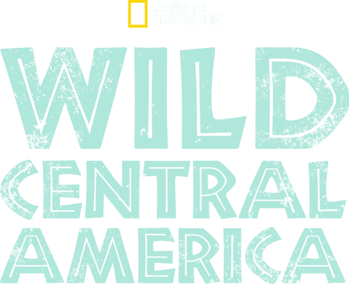 Wild Central America