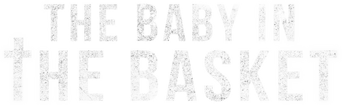 The Baby in the Basket