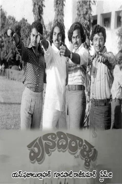Punadhirallu