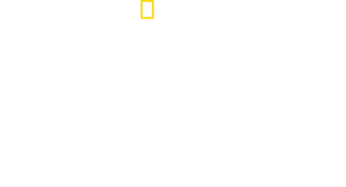 Nasca Lines Decoded