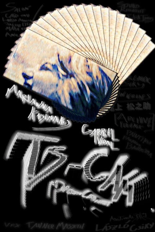 TS-CAM