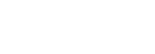 SPRINT