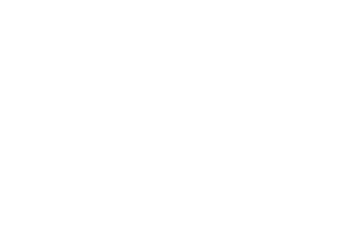 Because We Forget Everything