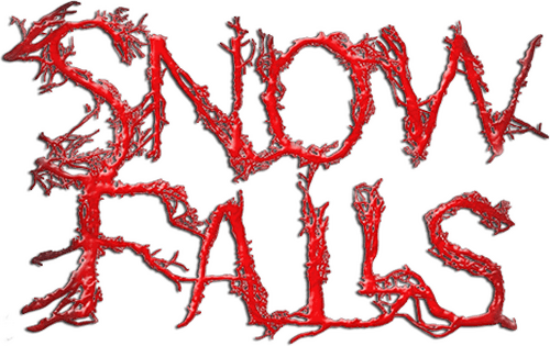 Snow Falls