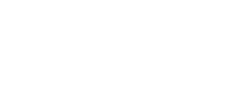 The Journey Of India