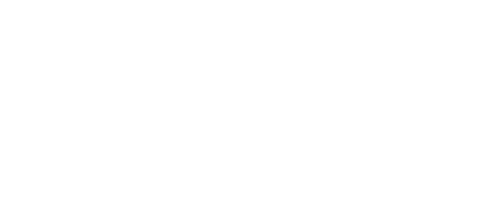 UFC 316: Dvalishvili vs. O'Malley 2
