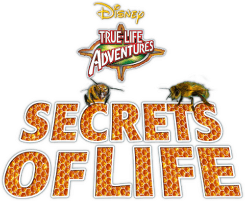 Secrets of Life