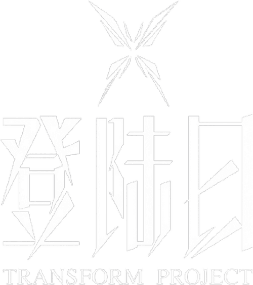 Transform Project
