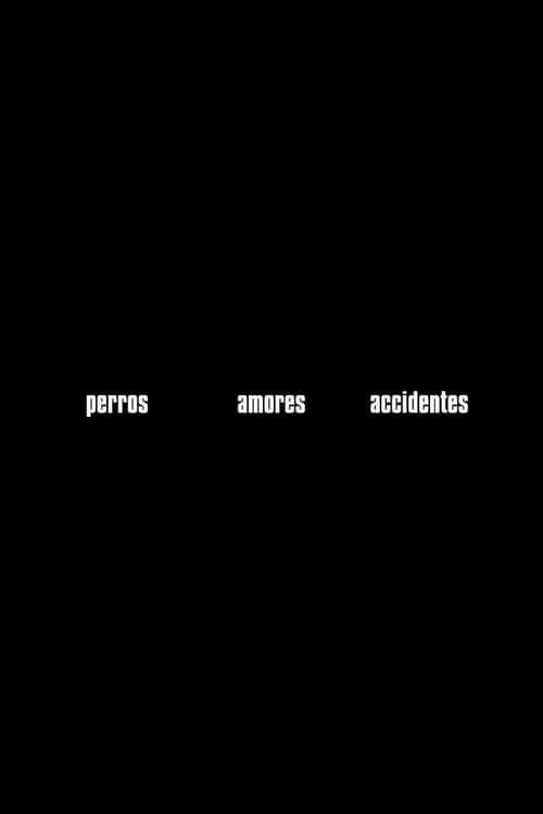 Perros, amores, accidentes