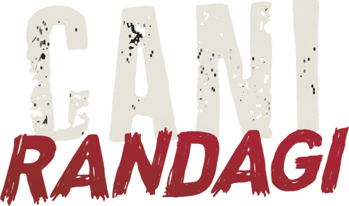 Cani randagi