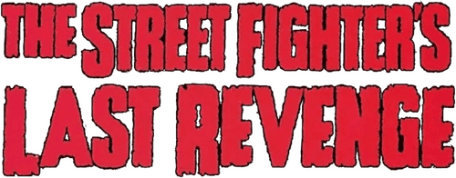 The Street Fighter's Last Revenge