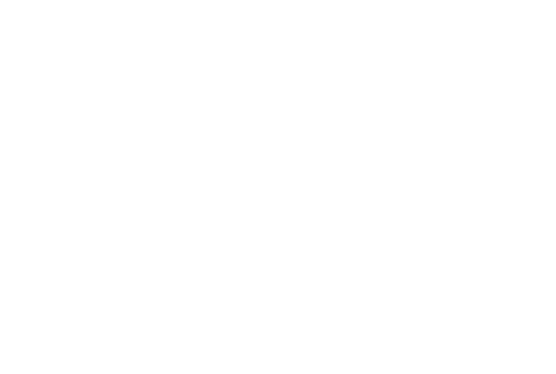 Promis unter Palmen – Die Late Night Show
