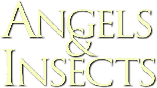 Angels and Insects