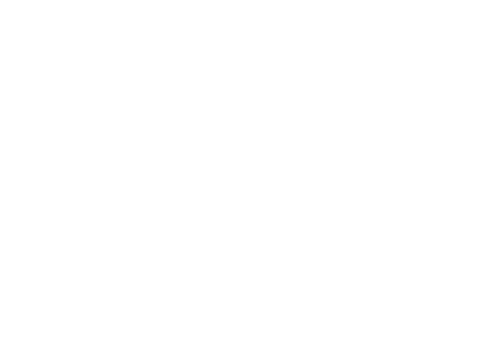The Ice King