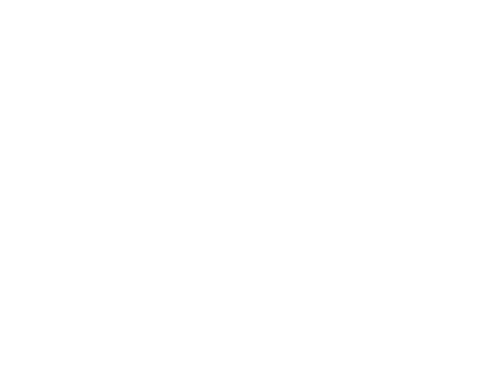 Holiday