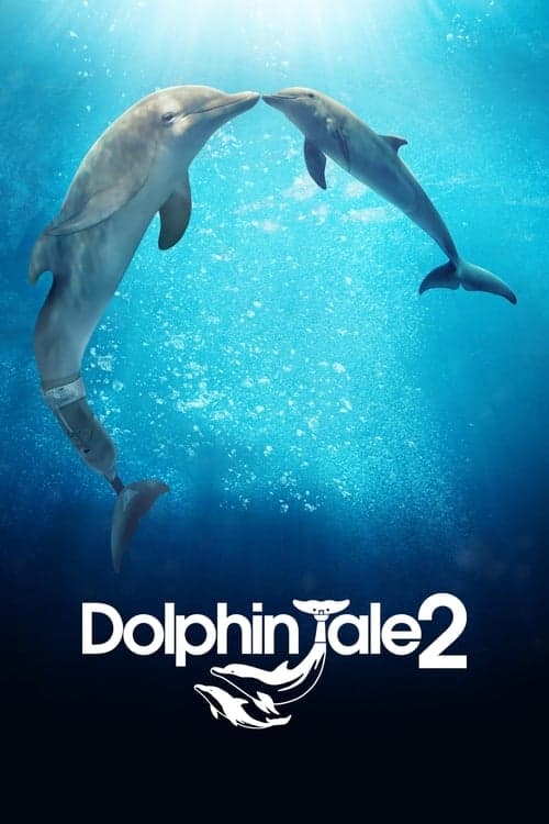 Dolphin Tale 2