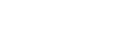 Human Factors