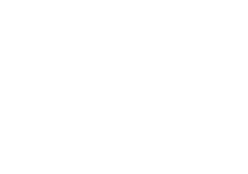 Simple Minds: Everything Is Possible