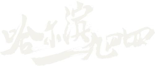 In the Name of the Brother
