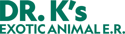 Dr. K's Exotic Animal ER