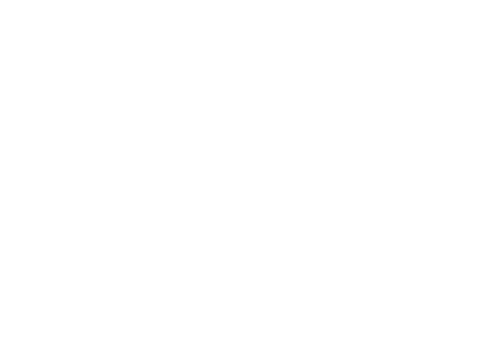 Love Life