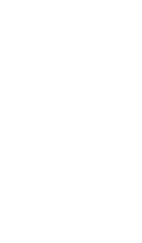 火凤重天