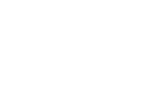 90 Day Diaries