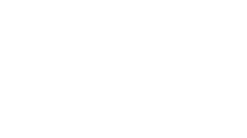 The Wedding Veil Legacy