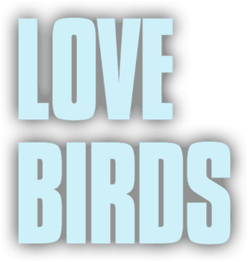 Love Birds