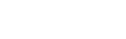 Die Anstalt