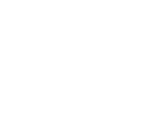 The Wrong Guys
