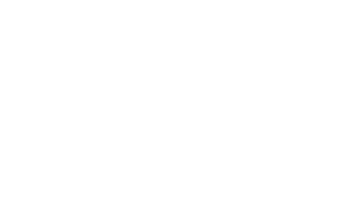 The Future Diary