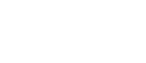 Mary Ryan, Detective