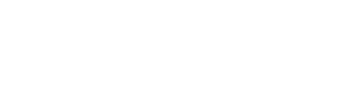 The Guitar Mongoloid