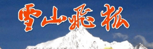 The Flying Fox Of Snowy Mountain