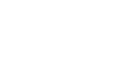 Eliana and the Secret of the Dolphins