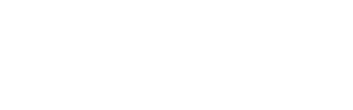 UFC 1: The Beginning