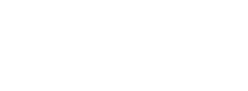 A Citizen, a Detective and a Thief