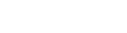 The Witnesses