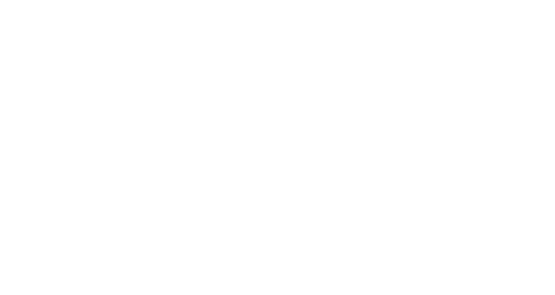 The Justice