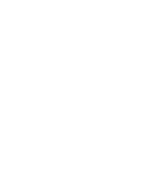 The Cable Guy