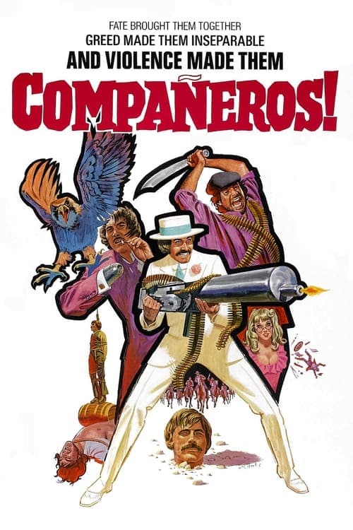 Compañeros