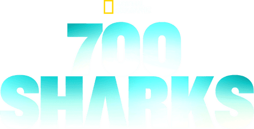 700 Sharks