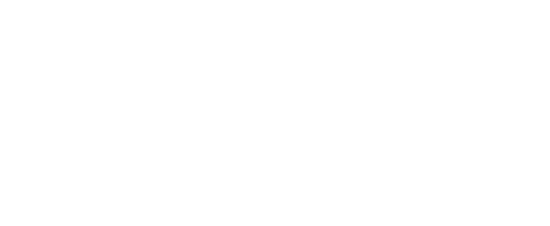 The Christmas Decoy