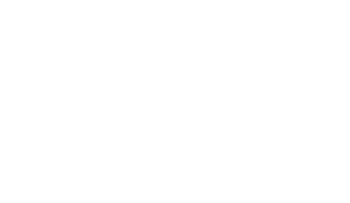 365 Days