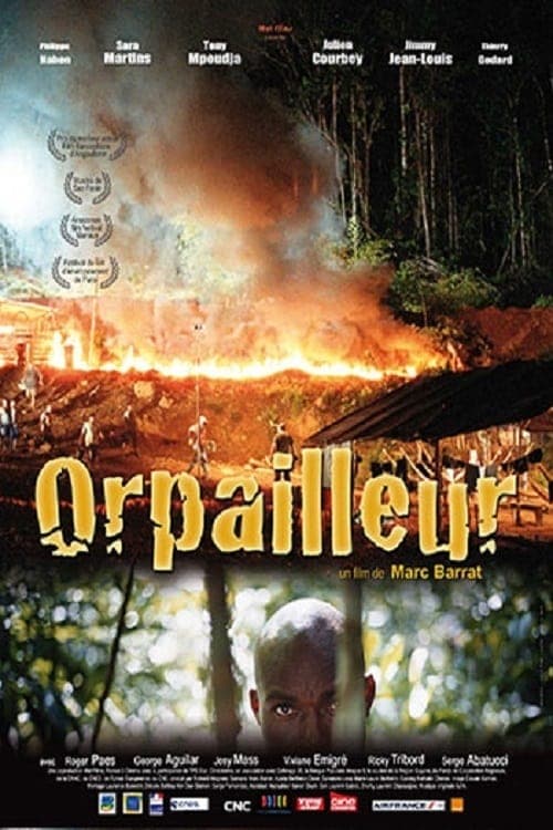 Orpailleur